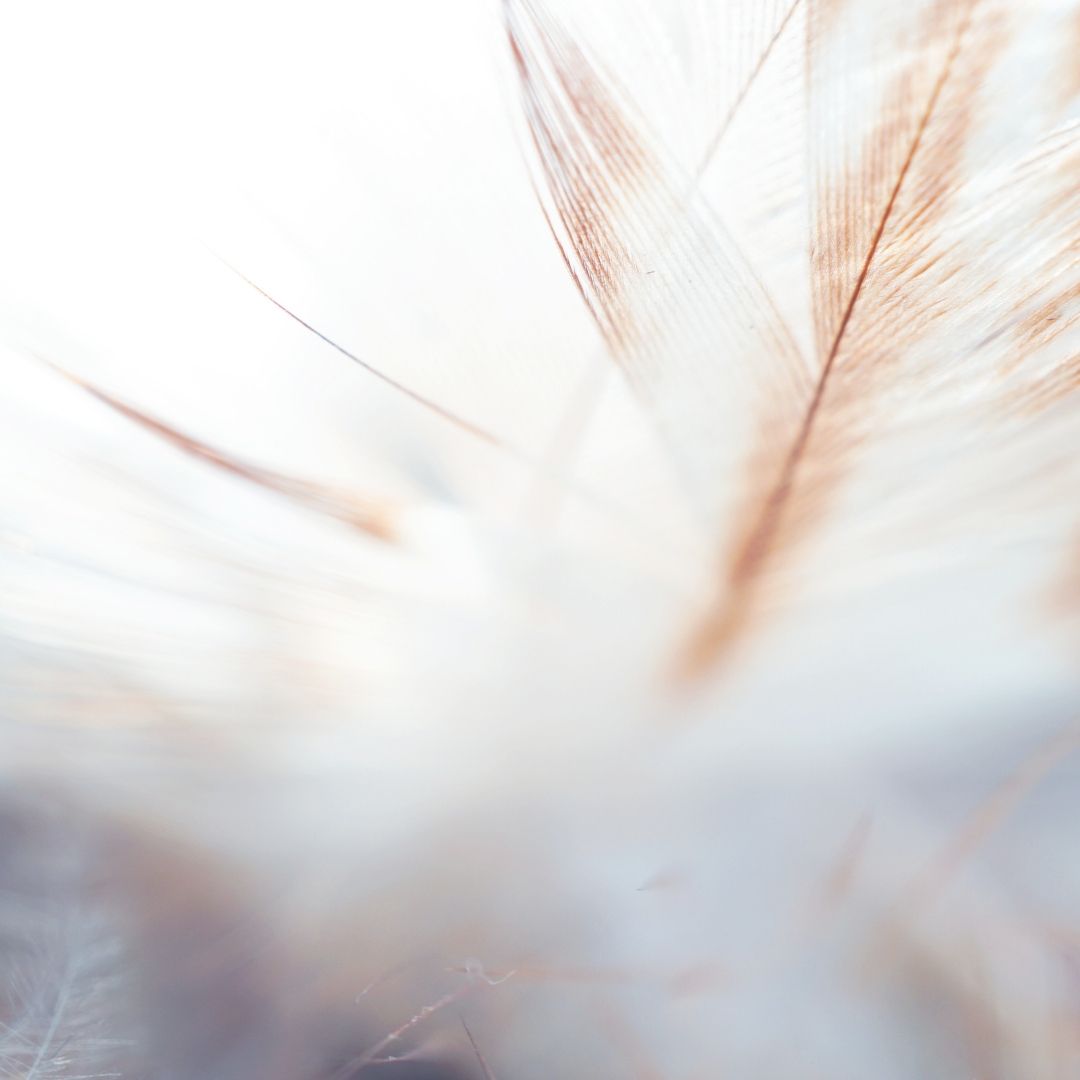 SOFTEN Learndash Produktfoto